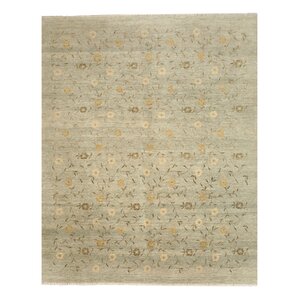 Jaipur Hand-Knotted Gray Area Rug