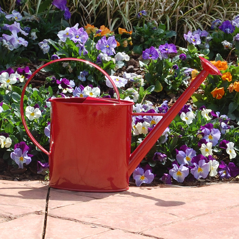 Griffith Creek Designs Metal 1 Gallon Watering Can with Long Spout & Reviews Wayfair
