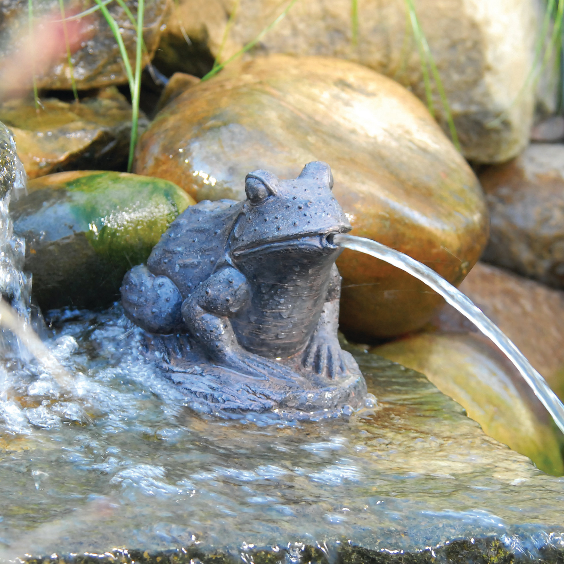 Pond Boss Resin Frog Spitter & Reviews Wayfair
