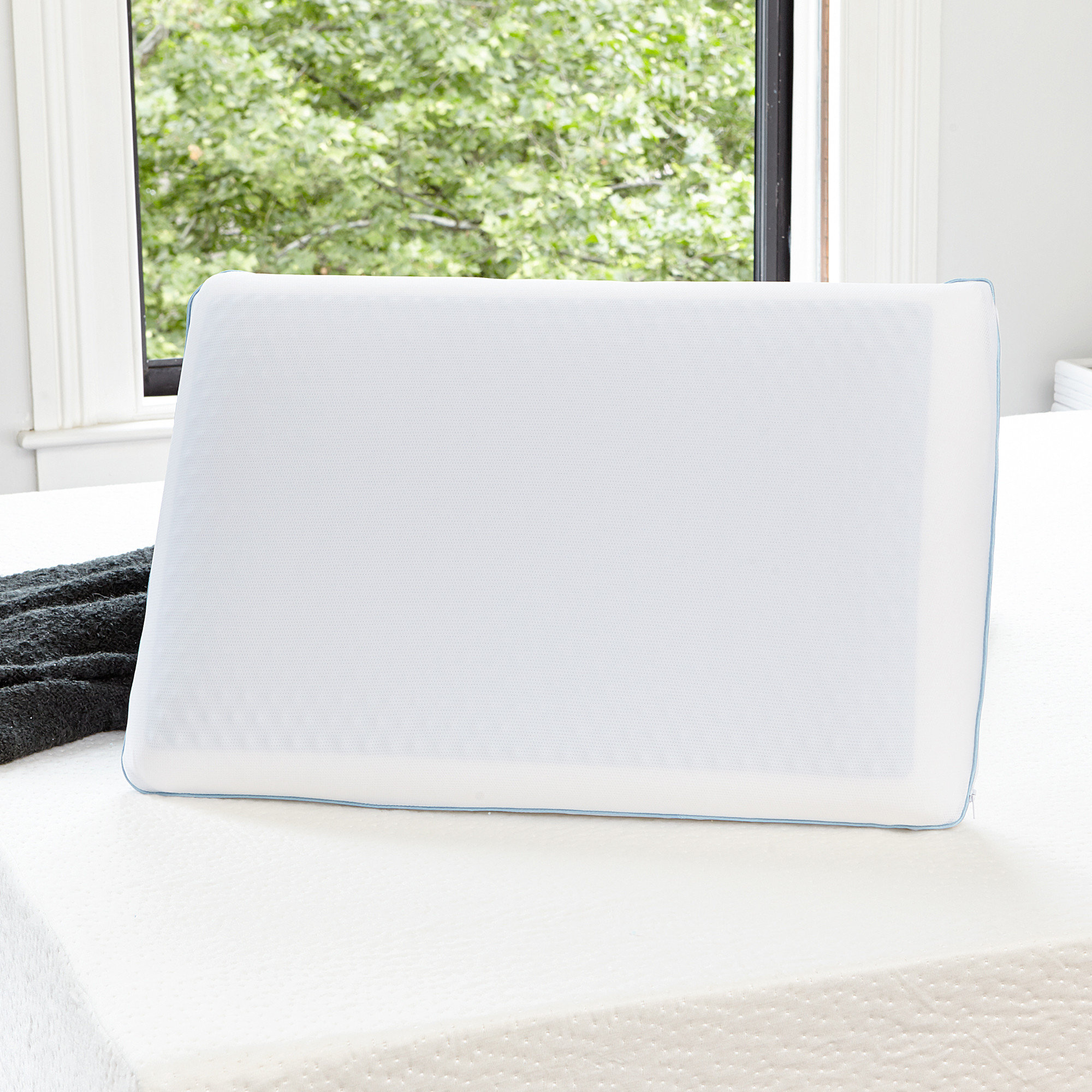 Alwyn Home Reversible Medium Memory Foam Queen Cooling Bed Pillow