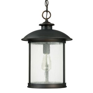 Calvin 1-Light Old Bronze Outdoor Hanging Lantern