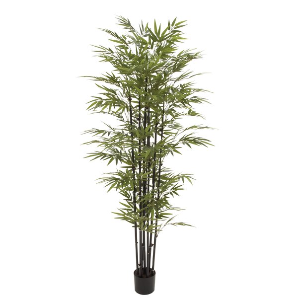 Woodland Imports Potted BK Bamboo Tree in Planter | Wayfair