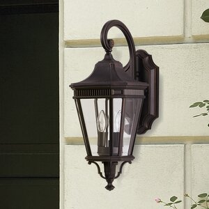 Chesterhill 1-Light Outdoor Wall Lantern