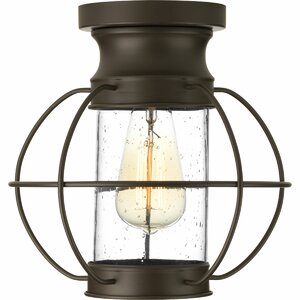 Nayeli 1-Light Semi Flush Mount