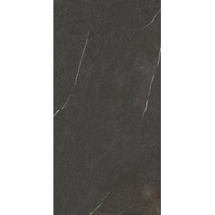 Dark Gray Floor Tile Wayfair Lifestone 12 X 24 Porcelain Field Tile In Dark Gray