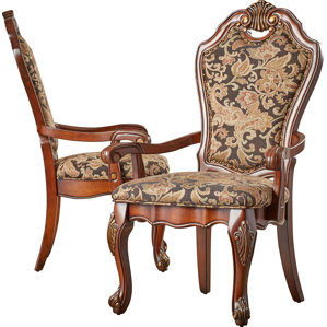 Tantallon Arm Chair (Set of 2) by Astoria Grand