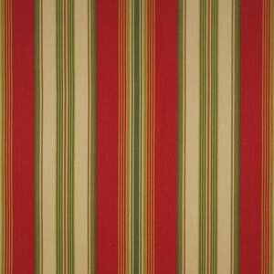 Captiva Stripe Print Cotton Duck