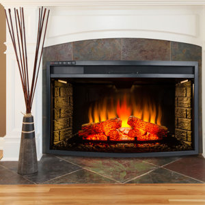 Electric Fireplace Insert