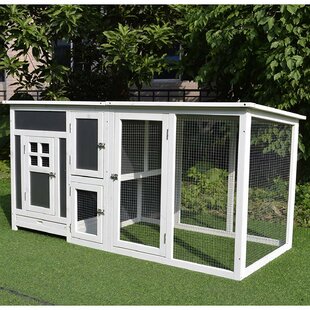 Chicken Coops Chicken Runs Houses Youll Love Wayfaircouk