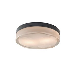 Fluid 2-Light LED Flush Mount