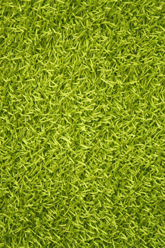 Noble House Sara Hand Woven Lime Green Area Rug & Reviews Wayfair