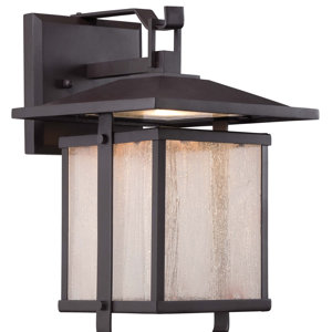 Olivarez 1-Light Outdoor Wall Lantern