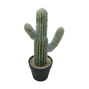 Faux Potted Cactus Wayfair Potted Faux Cactus Plant In Pot