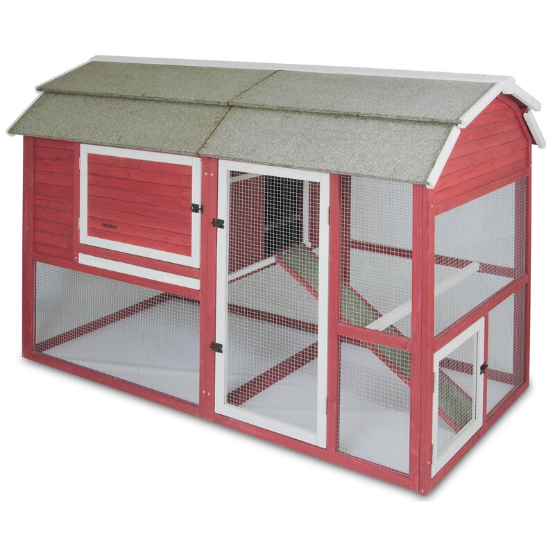 Chicken Coop With Roosting Bar