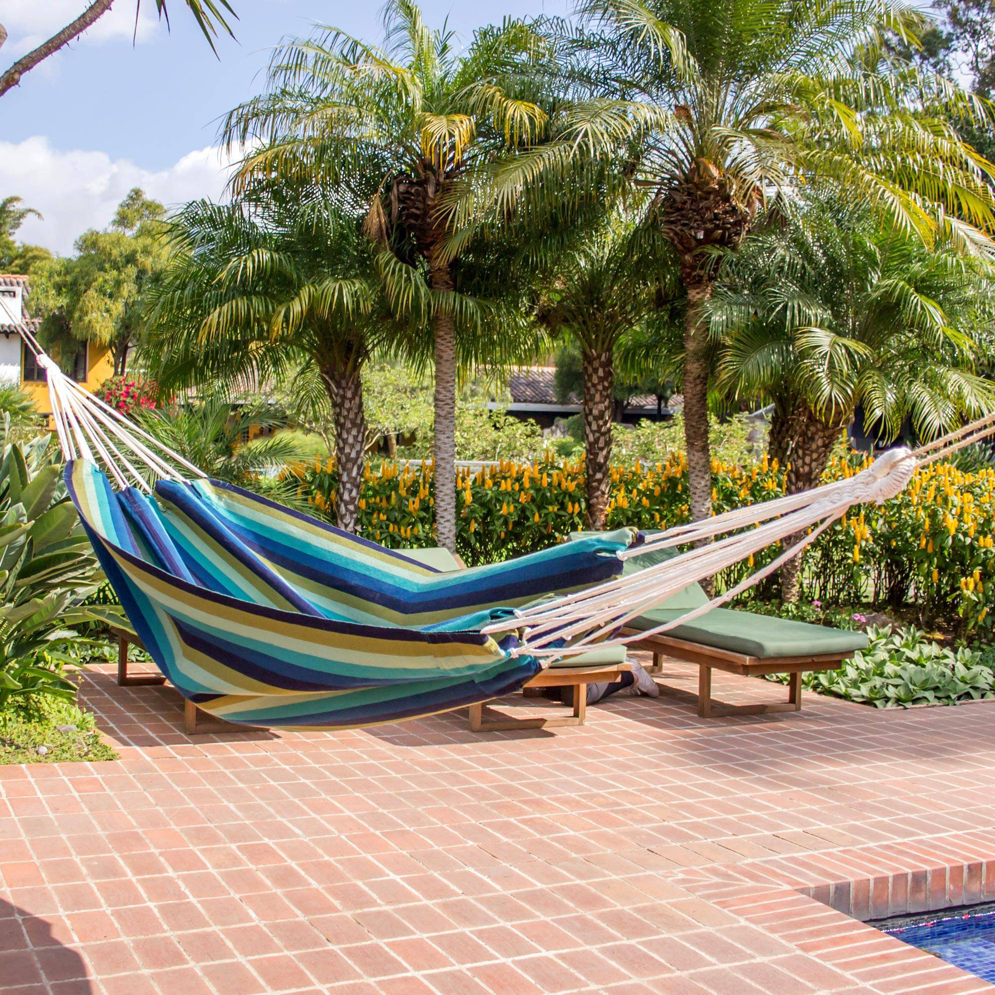 hammock single tree