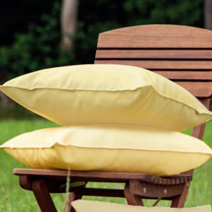 Indoor/Outdoor Throw Pillow (Set of 2)