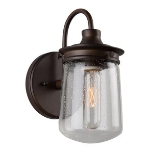 Hayley 1-Light Wall Sconce
