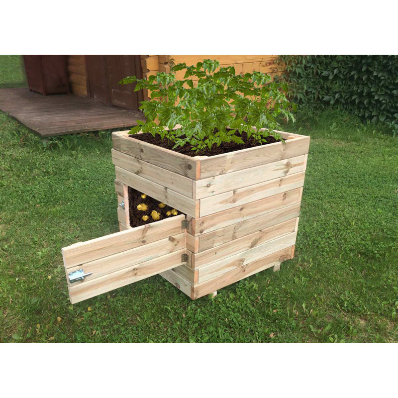 Kostuch Potato Wooden Planter Box