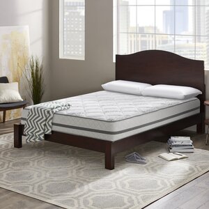 Wayfair Sleep 12