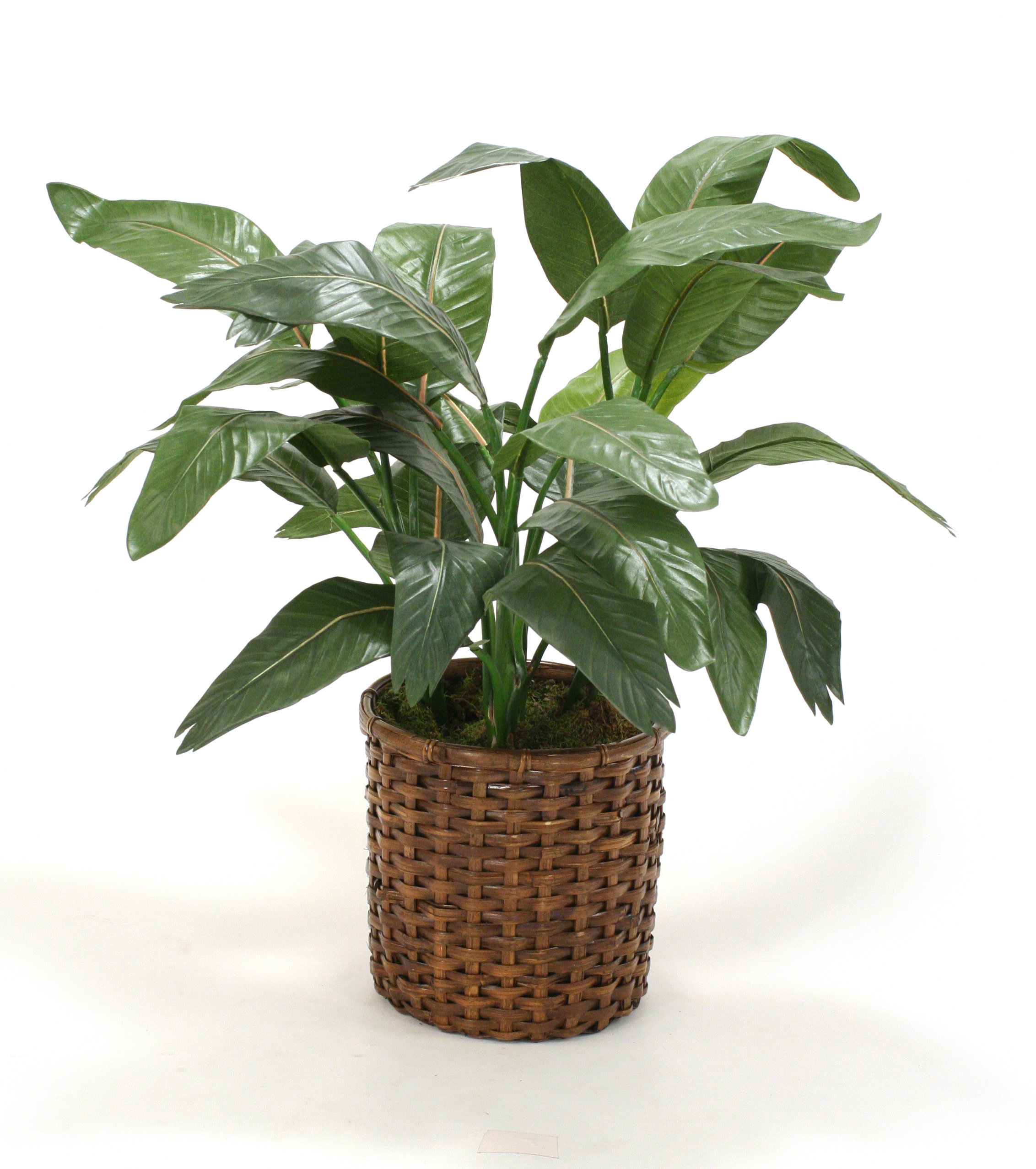Distinctive Designs Tropical Silk Floor Plant In Split Rattan