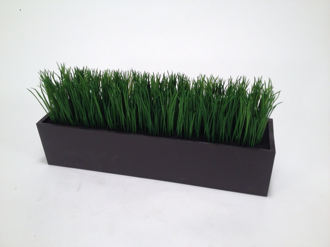 Distinctive Designs Grass in Rectangular Wood Planter & Reviews Wayfair