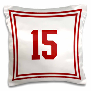 15 X Pillow Covers Wayfair Wilmot Number 15 Outer Trim Pillow Cover