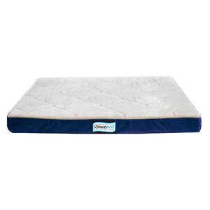 Beautyrest Thera Bed Orthopedic Memory Foam Dog Bed