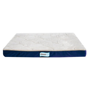 Beautyrest Thera Bed Orthopedic Memory Foam Dog Bed