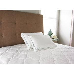 IsoCool Memory Foam Standard Pillow by Carpenter Co.