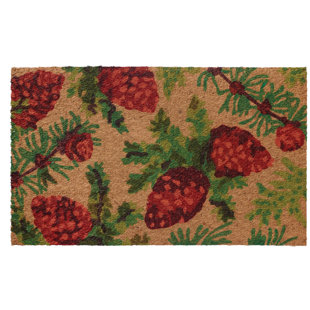Low Profile Indoor Door Mat Wayfair Low Profile Flatweave Pinecone Doormat