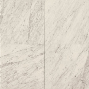 White Carrara Marble Tile Wayfair 24 X Marble Field Tile In White Carrara