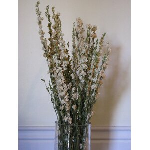 Dried Larkspur Floral Arrangements