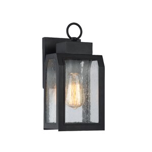 Abram 1-Light Outdoor Wall Lantern