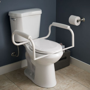 Toilet Safety Bar