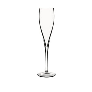 Sparkling Champagne Flute (Set of 2)