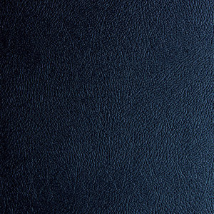 1 ft. x 1 ft. Garage Flooring Roll in Blue