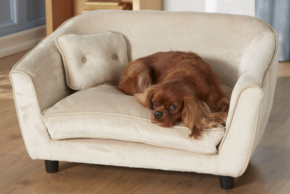 Ultra Plush Astro Dog Sofa & Reviews AllModern