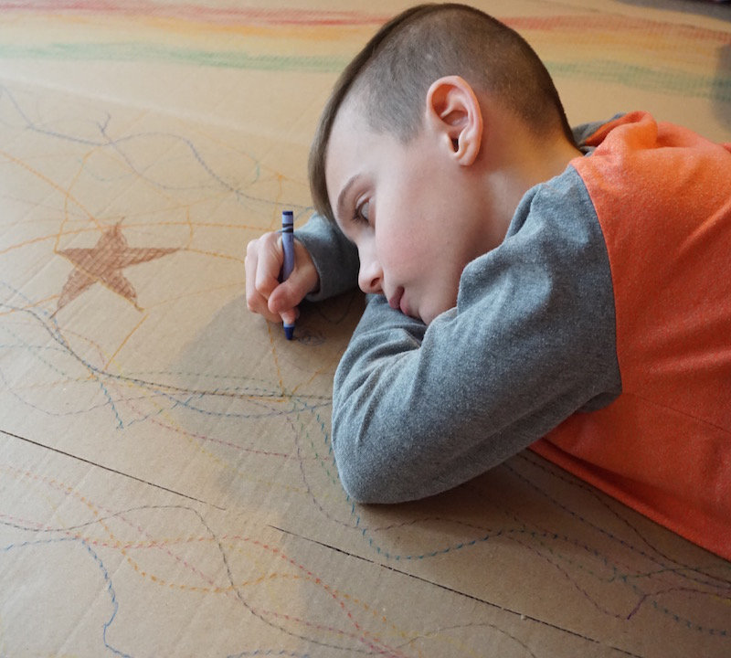 Symple Stuff 72" x 72" Privacy Cardboard 4 Panel Room Divider & Reviews Wayfair