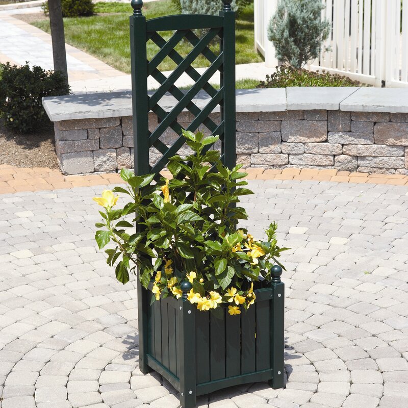 DMC Lexington Wood Planter Box with Trellis &amp; Reviews ...