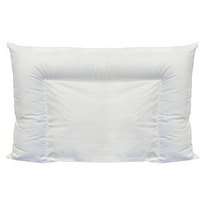 Crescent Premium Polyfill Pillow by Alwyn Home
