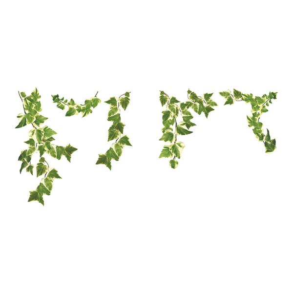 WallPops! Ivy 7 Piece Window Decal Set & Reviews | Wayfair