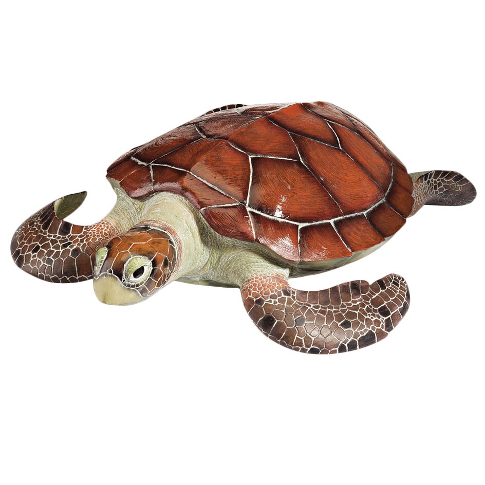 Design Toscano Flat Back Sea Turtle Statue & Reviews | Wayfair