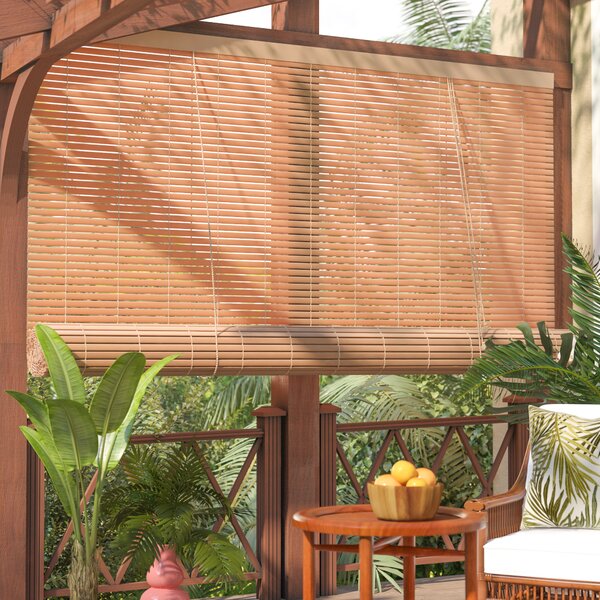 Window Blinds & Shades You'll Love | Wayfair