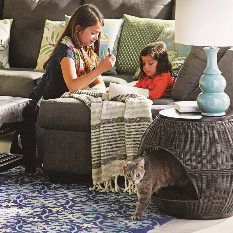 Latitude Run Deluxe Wicker End Table Cat Bed & Reviews Wayfair