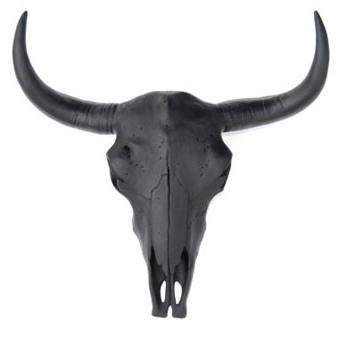 Bull Skull Wall Decor buffalo / bison skull head wall décor & reviews | allmodern Bull Skull Wall Decor buffalo / bison skull head wall décor & reviews | allmodern