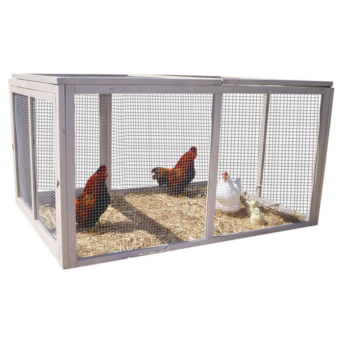 Precision Pet Extreme Hen Chicken Run & Reviews Wayfair