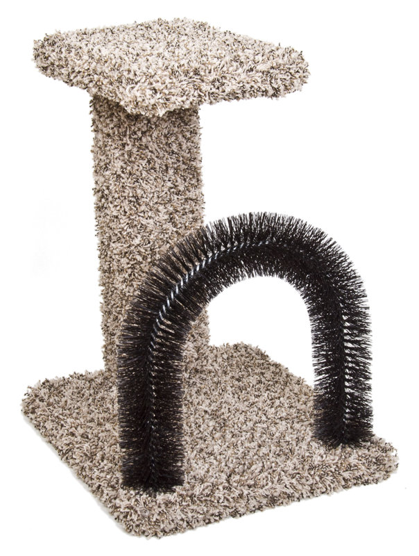 Ware Manufacturing BrushNPerch Scratching Post & Reviews Wayfair