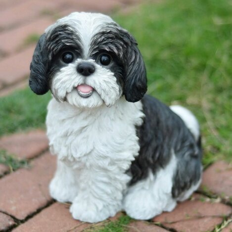 maltese shih tzu statue