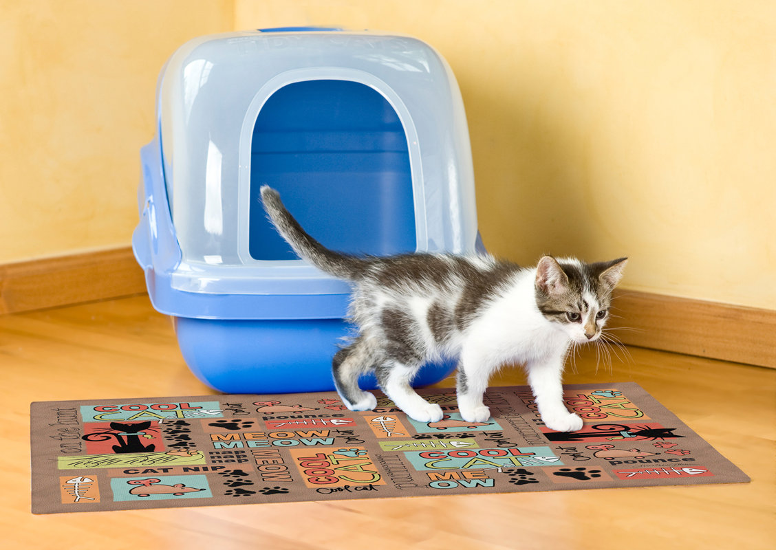 Drymate Cat Litter Mat & Reviews Wayfair
