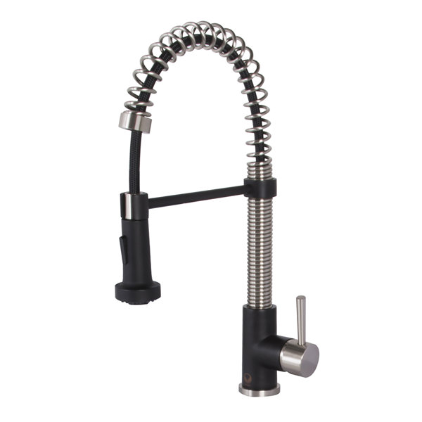VIGO Edison Single Handle PullDown Spray Kitchen Faucet and Matte